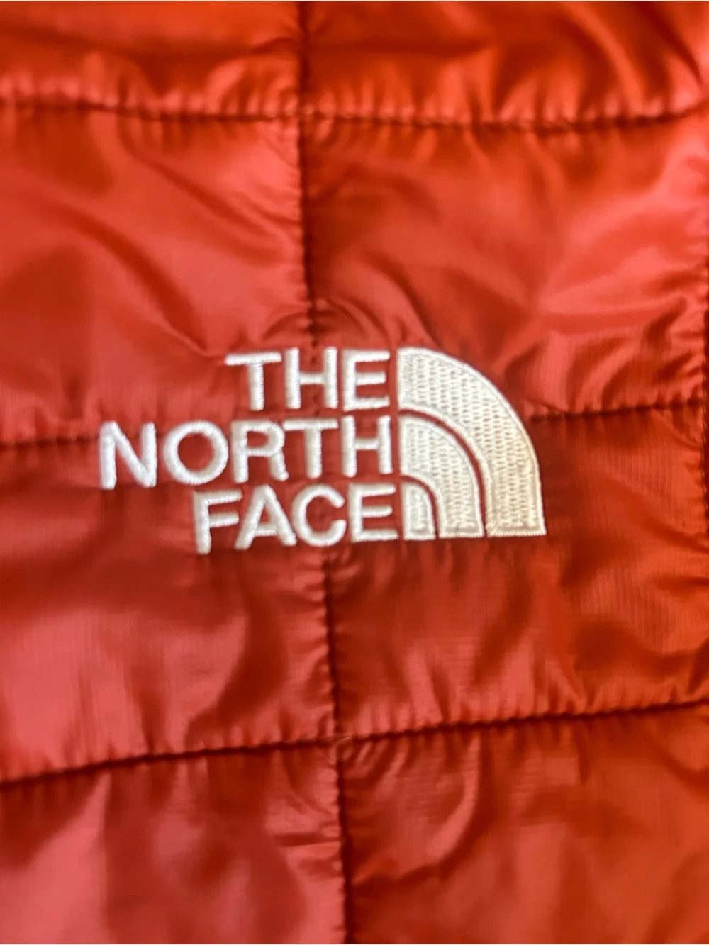 The North Face Men’s Orange ThermoBall Eco Jacket